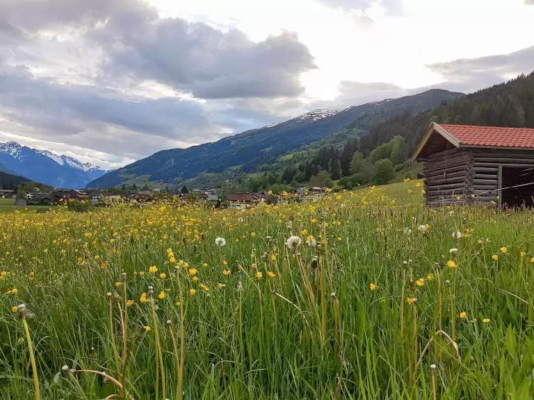 Lente in de Alpen: Hoe de bergen ontwaken uit hun winterslaap