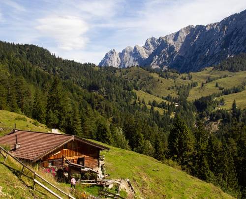 Wat is een Alm? Ontdek de traditie en het leven op de bergweide