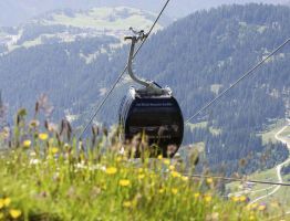 Eating in a cable car