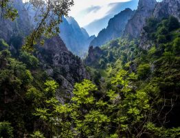 Een groen landschap in de Picos de Europa